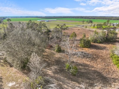 For Sale 10 Acres On Paved Road With Well Septic & Electric - image 10
