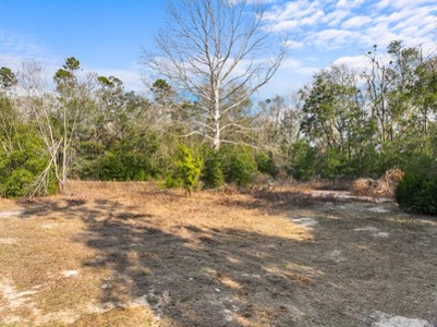 For Sale 10 Acres On Paved Road With Well Septic & Electric - image 7