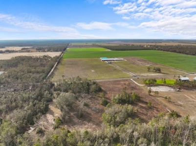 For Sale 10 Acres On Paved Road With Well Septic & Electric - image 4