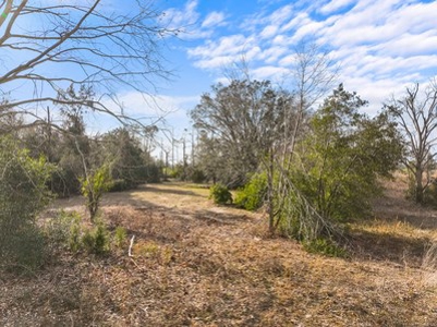 For Sale 10 Acres On Paved Road With Well Septic & Electric - image 8