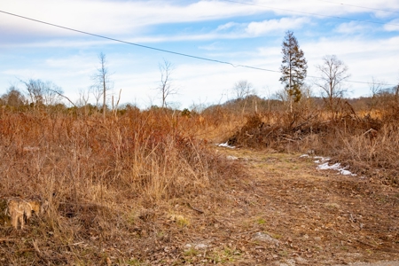 Unrestricted land for sale in Somerset Kentucky - image 1
