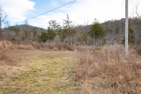 Unrestricted land for sale in Somerset Kentucky - image 4