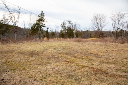 Unrestricted land for sale in Somerset Kentucky - image 3