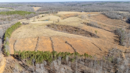 SALE PENDING! Self Sustainable Hunting Southern Tn Home Farm For Sale - image 9