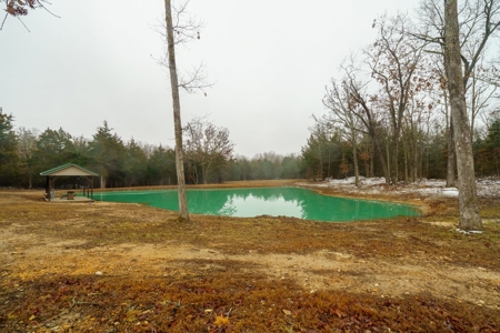 Country Home for Sale in Salem, Missouri - image 21