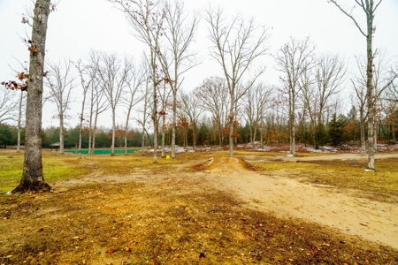 Country Home for Sale in Salem, Missouri - image 19