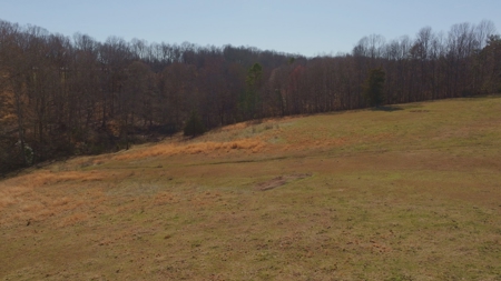 Horse Farm for Sale in Newton NC - image 6