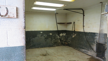 Horse Farm for Sale in Newton NC - image 33