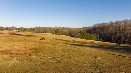Horse Farm for Sale in Newton NC - image 9