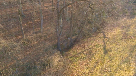 Horse Farm for Sale in Newton NC - image 14