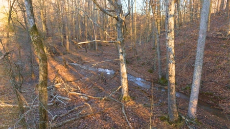 Horse Farm for Sale in Newton NC - image 15