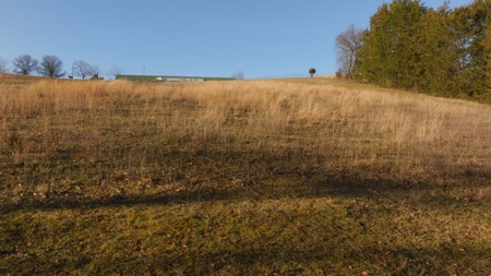 Horse Farm for Sale in Newton NC - image 5