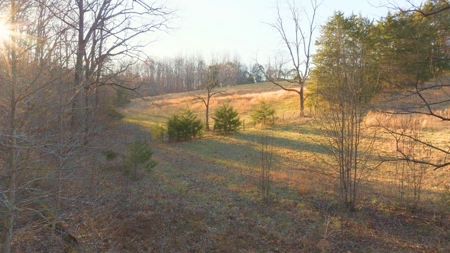 Horse Farm for Sale in Newton NC - image 16