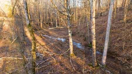 Horse Farm for Sale in Newton NC - image 18