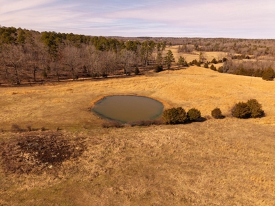 Farmhouse and 82 Acres in the Oregon County Ozarks - image 9