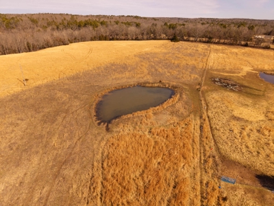 Farmhouse and 82 Acres in the Oregon County Ozarks - image 10