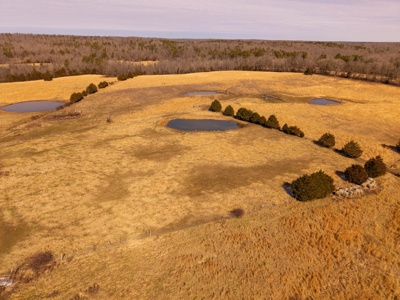 Farmhouse and 82 Acres in the Oregon County Ozarks - image 7