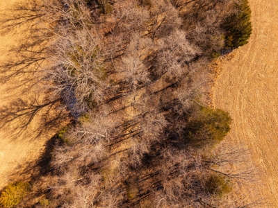 Farmhouse and 82 Acres in the Oregon County Ozarks - image 12
