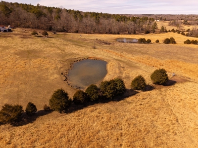 Farmhouse and 82 Acres in the Oregon County Ozarks - image 8