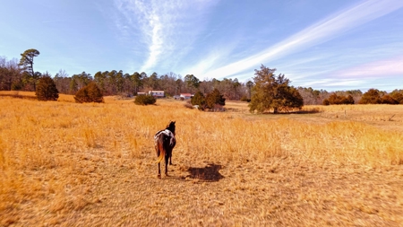 Farmhouse and 82 Acres in the Oregon County Ozarks - image 15