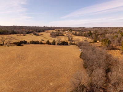 Farmhouse and 82 Acres in the Oregon County Ozarks - image 13