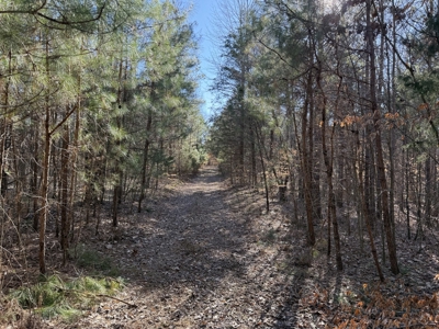 158 +/- Acres of Recreation Heaven with Knob Creek Frontage! - image 11