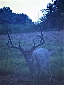 158 +/- Acres of Recreation Heaven with Knob Creek Frontage! - image 24