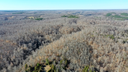 158 +/- Acres of Recreation Heaven with Knob Creek Frontage! - image 6