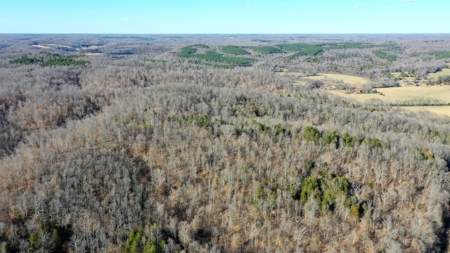 158 +/- Acres of Recreation Heaven with Knob Creek Frontage! - image 7