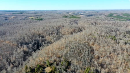 158 +/- Acres of Recreation Heaven with Knob Creek Frontage! - image 9