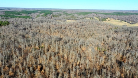 158 +/- Acres of Recreation Heaven with Knob Creek Frontage! - image 4