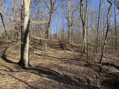 158 +/- Acres of Recreation Heaven with Knob Creek Frontage! - image 8