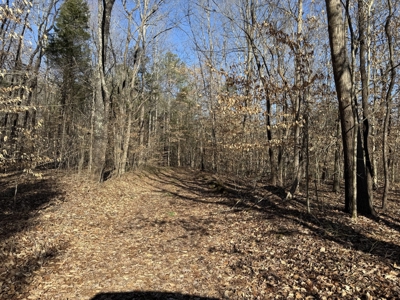 158 +/- Acres of Recreation Heaven with Knob Creek Frontage! - image 10