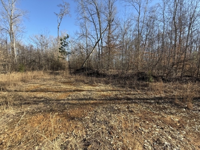158 +/- Acres of Recreation Heaven with Knob Creek Frontage! - image 12
