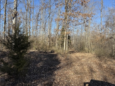 158 +/- Acres of Recreation Heaven with Knob Creek Frontage! - image 15