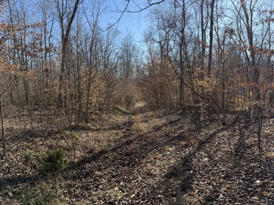 158 +/- Acres of Recreation Heaven with Knob Creek Frontage! - image 14