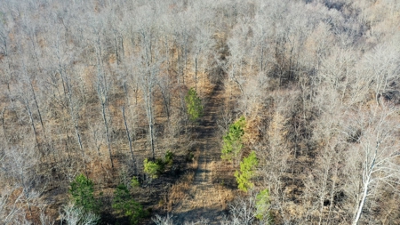 158 +/- Acres of Recreation Heaven with Knob Creek Frontage! - image 3