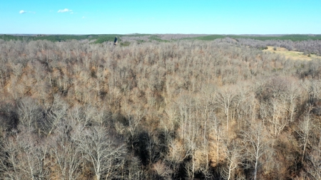 158 +/- Acres of Recreation Heaven with Knob Creek Frontage! - image 5