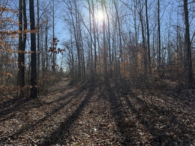 158 +/- Acres of Recreation Heaven with Knob Creek Frontage! - image 16