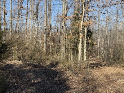 158 +/- Acres of Recreation Heaven with Knob Creek Frontage! - image 17