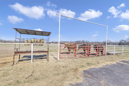 Texas Ranch for Sale Lindale TX Smith County Horses Cattle Fishing Hunting - image 2