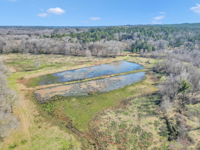 Texas Ranch for Sale Lindale TX Smith County Horses Cattle Fishing Hunting - image 15