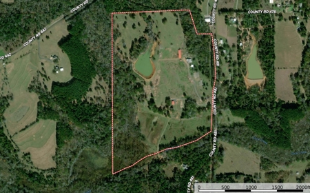 Texas Ranch for Sale Lindale TX Smith County Horses Cattle Fishing Hunting - image 40