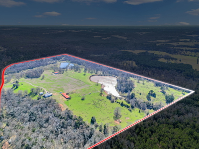 Texas Ranch for Sale Lindale TX Smith County Horses Cattle Fishing Hunting - image 12