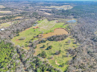 Texas Ranch for Sale Lindale TX Smith County Horses Cattle Fishing Hunting - image 22