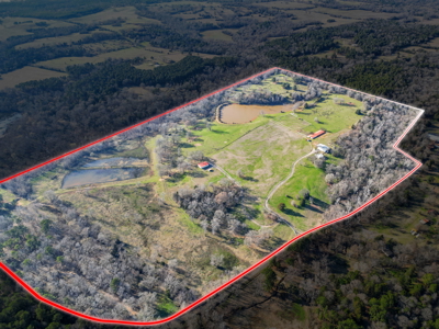 Texas Ranch for Sale Lindale TX Smith County Horses Cattle Fishing Hunting - image 20