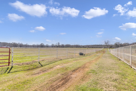 Texas Ranch for Sale Lindale TX Smith County Horses Cattle Fishing Hunting - image 24