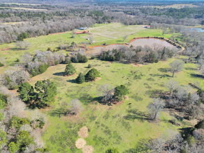 Texas Ranch for Sale Lindale TX Smith County Horses Cattle Fishing Hunting - image 18