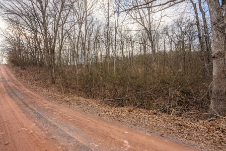 Offering #1 - Wooded Building Site for Sale at Auction - image 7