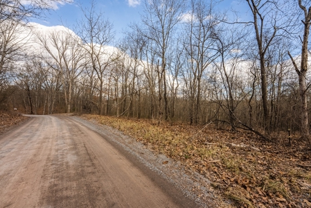 Offering #1 - Wooded Building Site for Sale at Auction - image 12